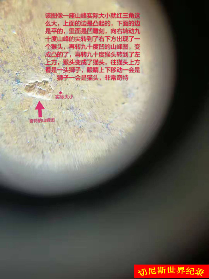 1576166019125721.jpg