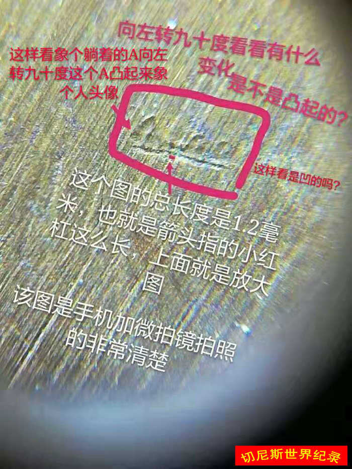 1576166019140584.jpg